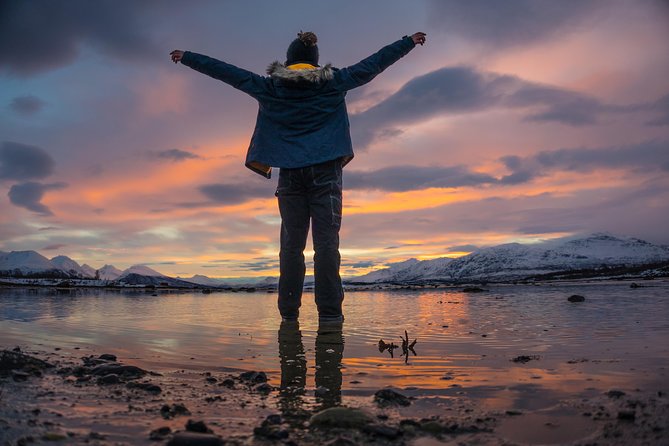 Small-Group Arctic Sightseeing Tour With Citizen Science From Tromso - Food and Refreshments