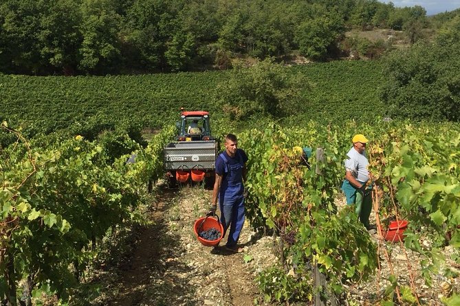 Small Group Chianti Wine Tasting With Seven Tuscan Wines - Small Group Experience