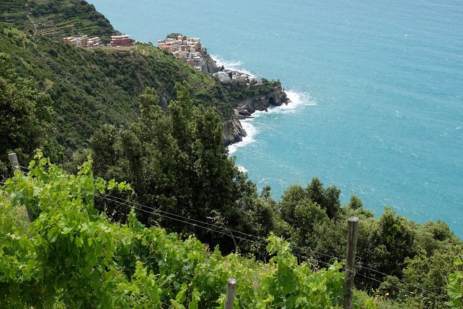 Small-Group Cinque Terre Discovery With Seafood Lunch - Inclusions and Exclusions