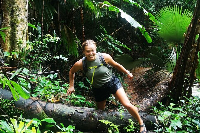 Small-Group Jungle Hiking Excursion in Khao Phra Teaw Park - Lunch and Dining