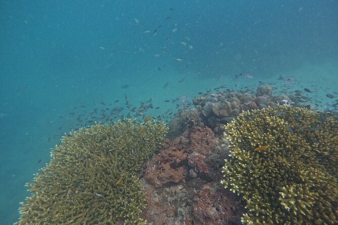 Small Group Phi Phi Islands Sunrise Tour With Seaview Lunch - What to Expect During the Tour