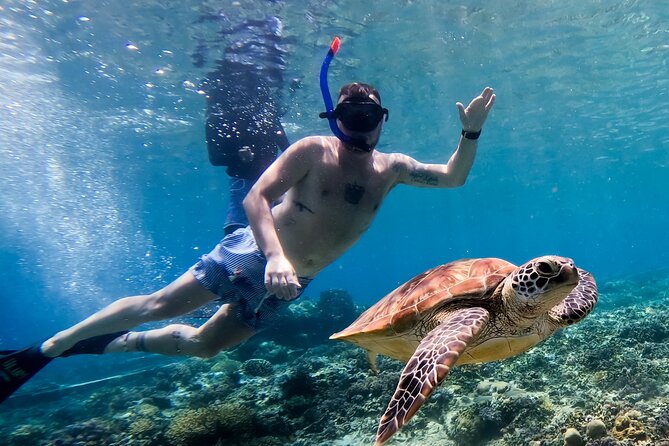 Snorkeling With Turtle and Statue in Gilis - Booking and Planning