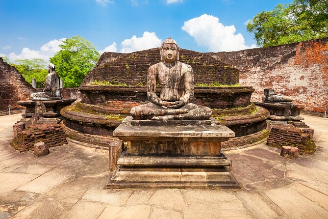 Sri Lanka Tour 8 Days With a Private Driver, Hotels, and Vehicle - Customer Feedback and Ratings