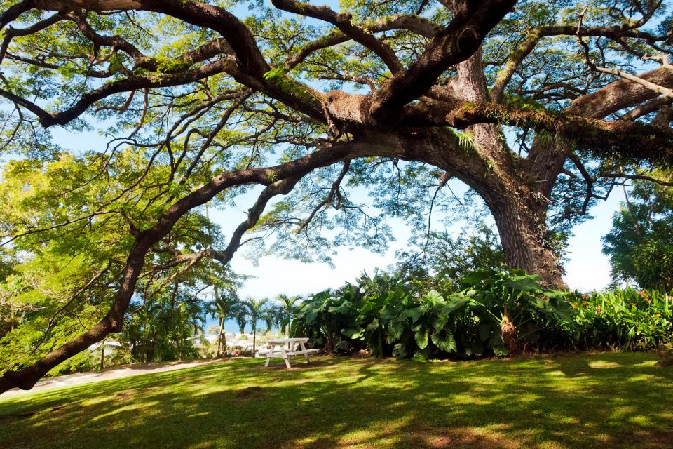 St. Kitts: Top Sights Guided Van or Open-Air Safari Tour - Relaxing on the Beach