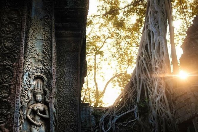 Sunrise Angkor Wat Half Day Join-In Tour (By Luxury Minivan) - Cancellation Policy