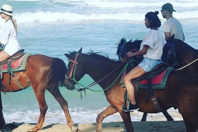 Sunset Beach Horsebackriding Punta Cana - Preparing for Your Ride