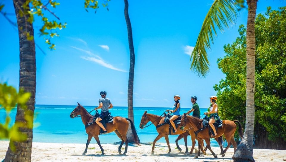 Swim Horse From Punta Cana - Frequently Asked Questions