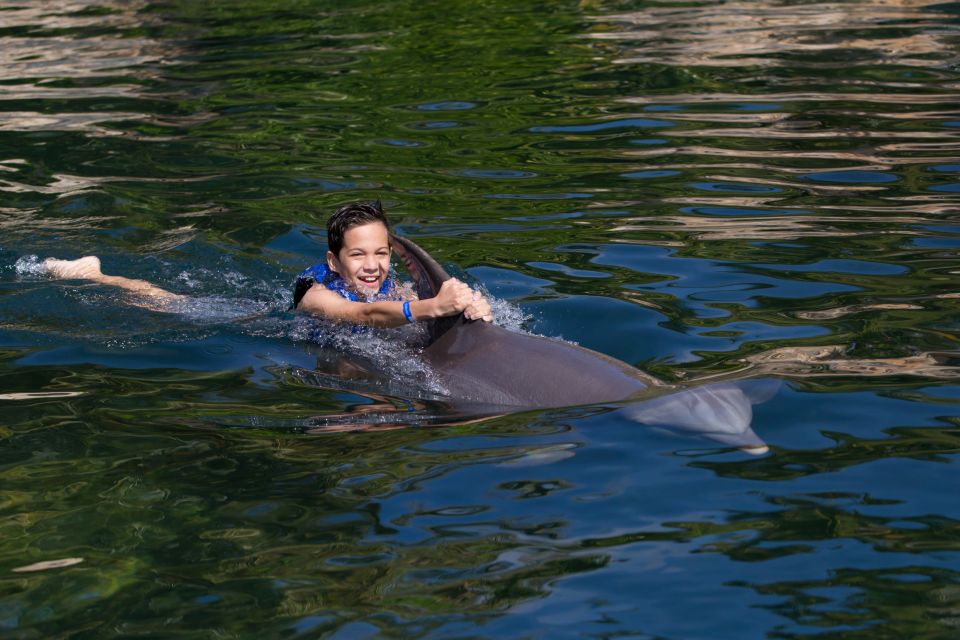 Swim With Dolphins Ride - Riviera Maya - Arrival and Logistics