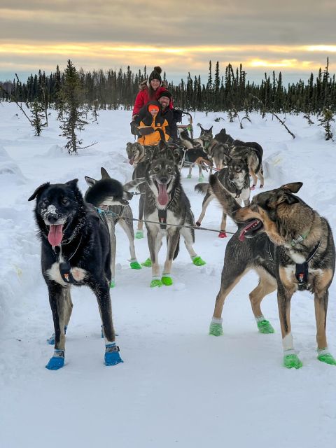 Talkeetna: Winter Dog Sled Tour Morning or Night Mush! - Frequently Asked Questions