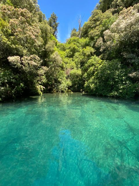 Taupo: Lake Taupo Western Bays Catamaran Tour With Bush Walk - Experience Highlights