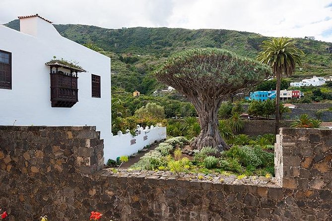 Tenerife Highlights Full-Day Tour - Tour Logistics and Accessibility