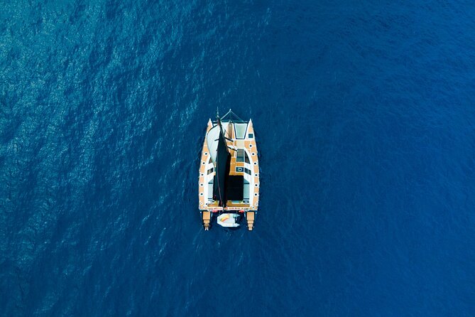 Tenerife Whales and Dolphins Watching Experience in Catamaran - Small Group Experience