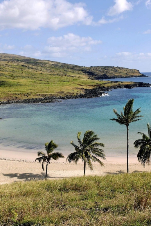 The Moai Factory: the Mystery Behind the Volcanic Stone Stat - Relaxing at Anakena Beach