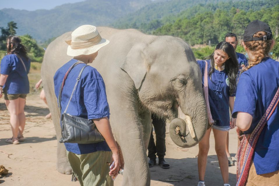 The Ultimate Elephant Experience and Coffee Workshop - Booking and Cancellation