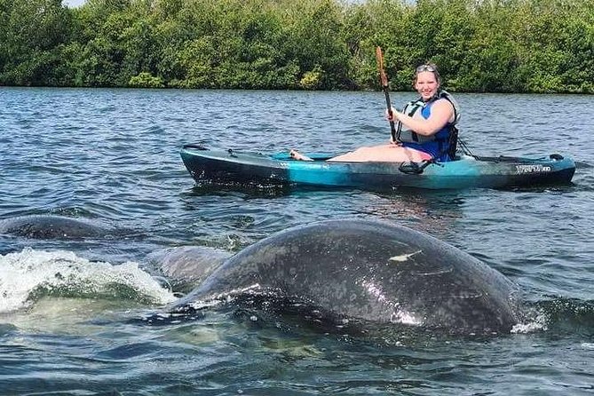 Thousand Island Mangrove Tunnel, Manatee & Dolphin Kayak Tour W/Cocoa Kayaking - Frequently Asked Questions