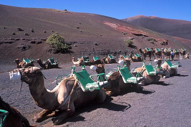 Timanfaya, Golfo, Jameos Del Agua & Camel Ride (Optional) - Lanzarote - Included Services and Amenities
