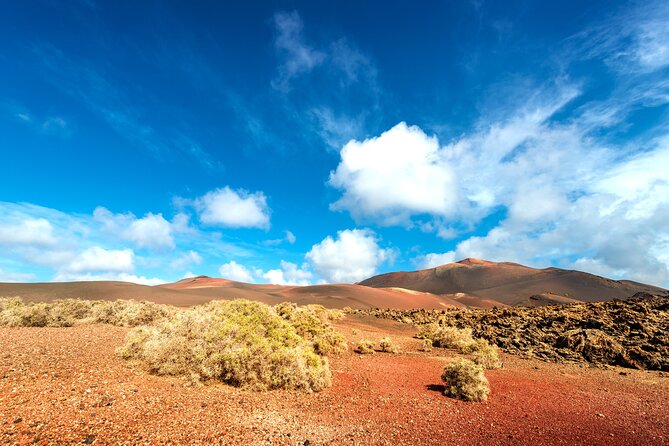 Timanfaya & Lanzarote Volcano Experience - Wine Region of La Geria