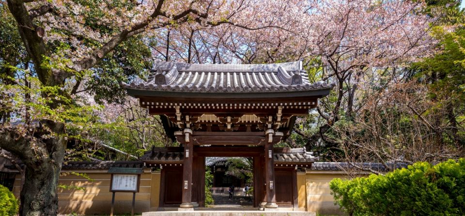 Tokyo: Private Cherry Blossom Experience - Reflection at Yanaka Cemetery