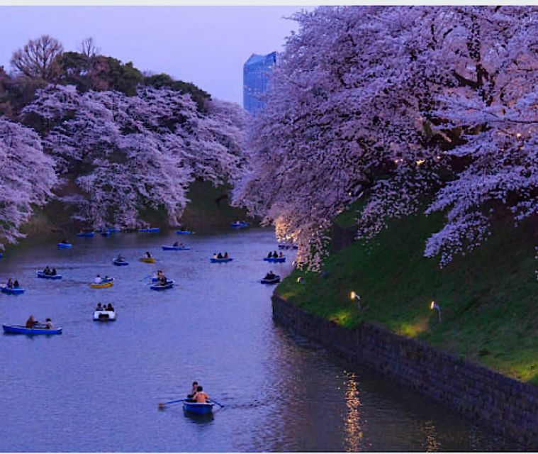 Tokyo Private Tour: Customizable (Up-To 6 Persons) - Accessibility