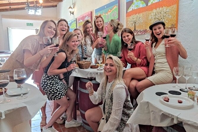 TOP WINE TOUR- Vineyard & Cellar Visit + 6 TOP Wines + Tapas - Cancellation Policy