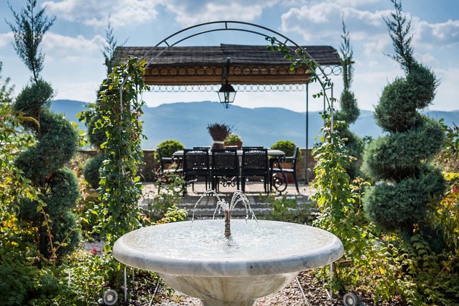 Tour and Tasting at an Organic Winery in the Heart of Chianti Classico Area - Cancellation and Refund Policy