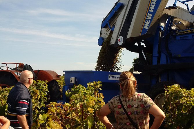 Tour of a Vineyard, Winery & Cellar With Wine Tasting in Vouvray, Loire Valley - Meeting Point and Transportation Options