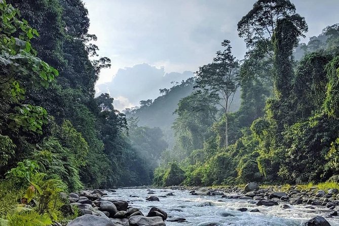 TOUR PACKAGE (Jungle Trekking, Taxi, Room) 4 DAYS 3 NIGHTS in BUKIT LAWANG - Booking and Confirmation