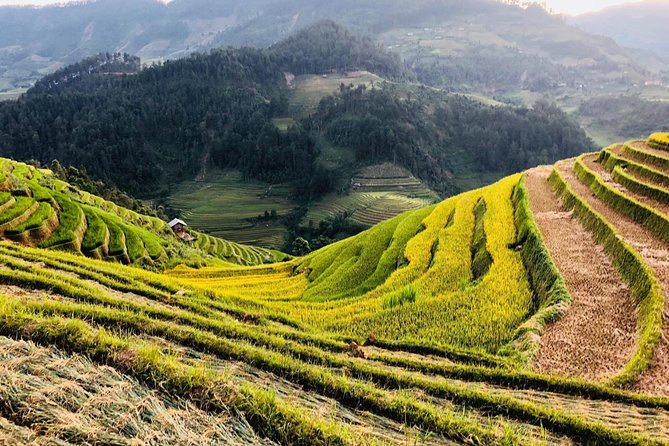 Trekking Sapa 1 Day - the Best Terraced Rice Field - Operated by SAIGONESE TREKKING HOUSE
