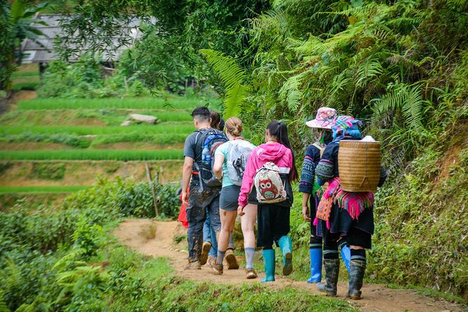 Trekking Through Rice Terraced Fields - 1Day​ - Tour Difficulty