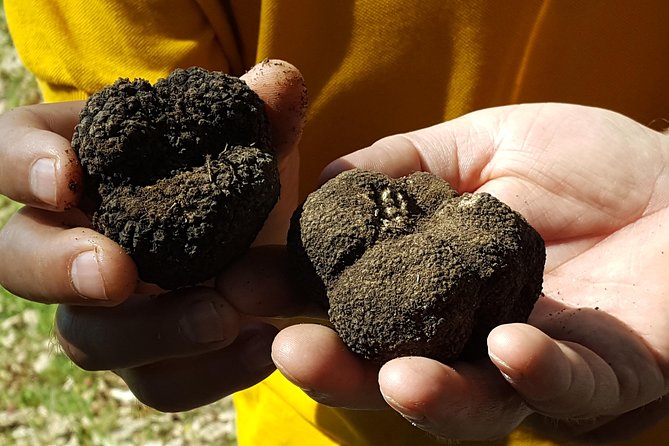Truffle Hunting at Meteora - Accessibility Information