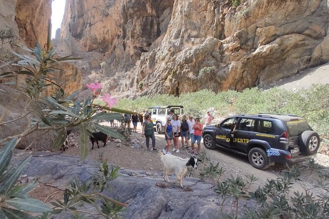 Trypiti Beach and Gorge Jeep Safari - Medical Considerations for Travelers