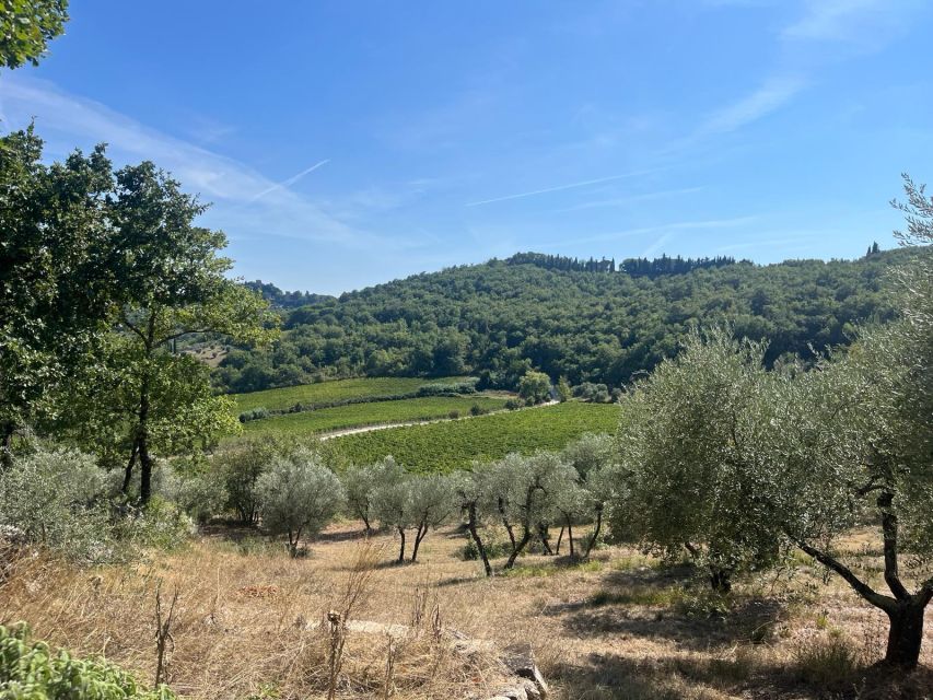 TUSCANY: WINE TASTING IN THE HEART OF CHIANTI CLASSICO - Exploring the Municipalities