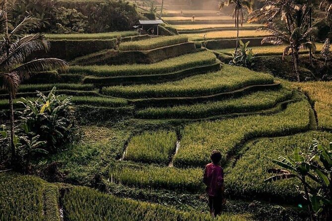 Ubud Customized Full Day Tour - Visit Most Favorite in Ubud - Accessibility and Recommended Travelers