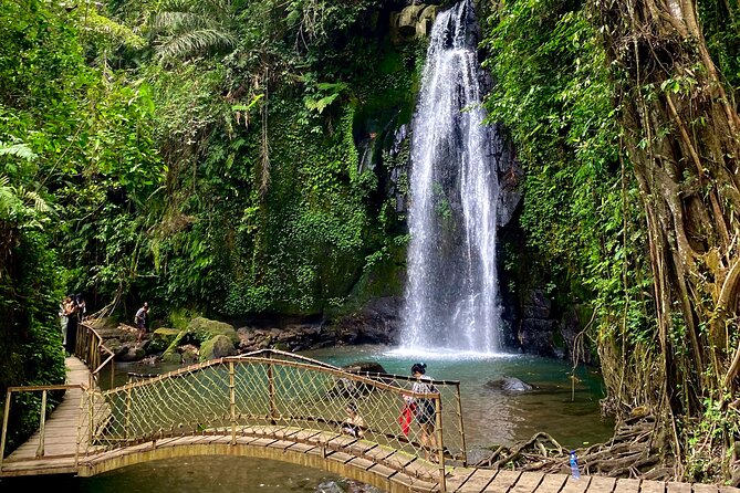 Ubud: Monkey Forest, Rice Terraces, Hidden Waterfall, Water Temple - Tour Confirmation and Accessibility