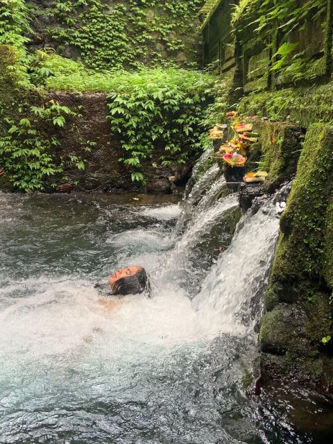 Ubud: Nature and Culture Explorer - Pickup and Dropoff