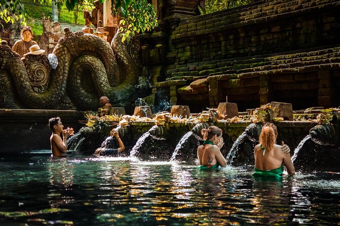 Ubud Tour With Swing, Temple, Monkey Forest, and Waterfall - Inclusions and Cancellation Policy