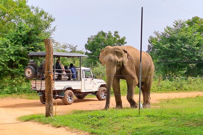 Udawalawe National Park Safari Tour - Private & Customize Tour - Additional Tour Information