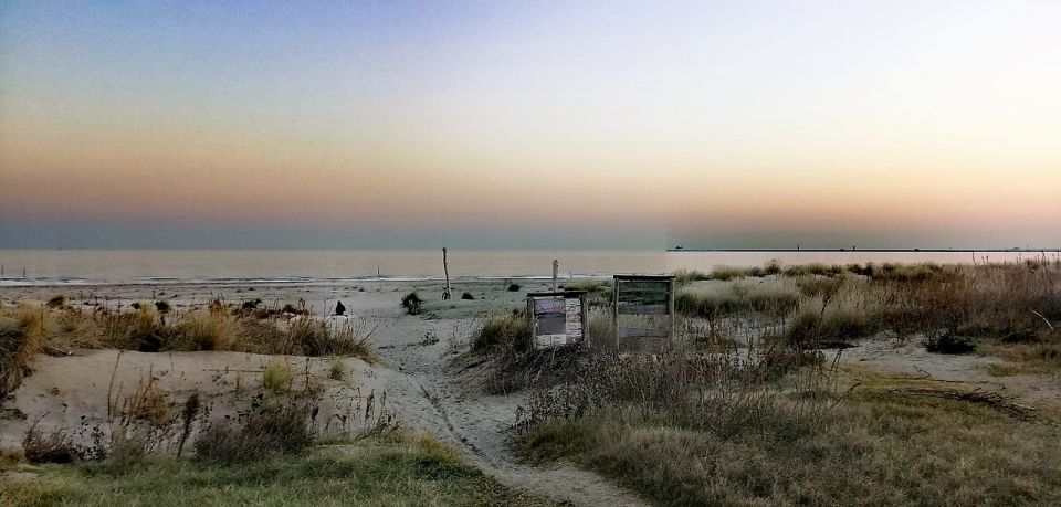 Venice Lido: Bike Tour With a Local on the Island of Cinema - Exploring the Venice Lagoon