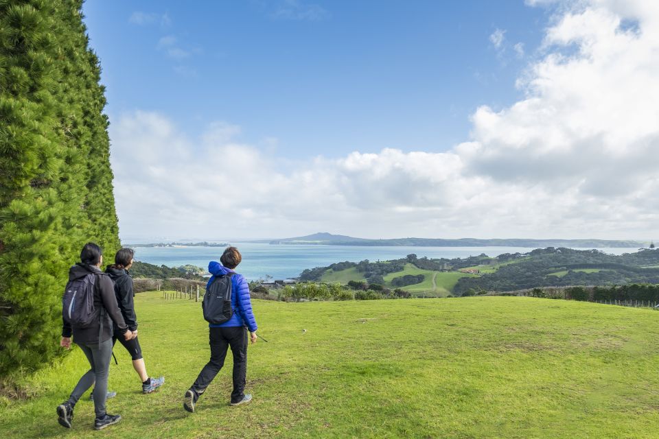 Waiheke Island: Double Headland Premium Guided Coastal Walk - Directions and Meeting Guide