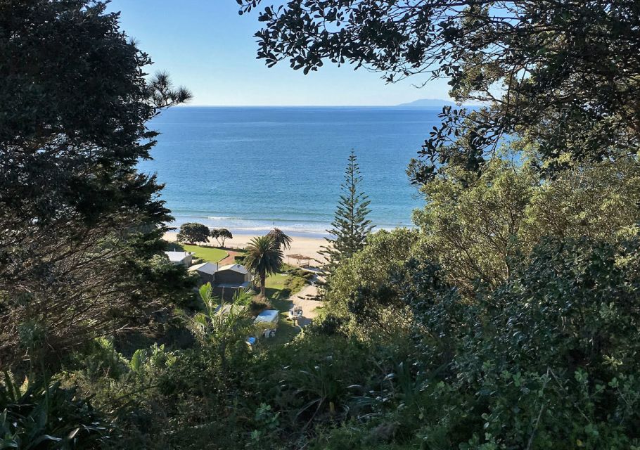 Waiheke Island: Forest and Beach Premium Guided Walk - What to Bring