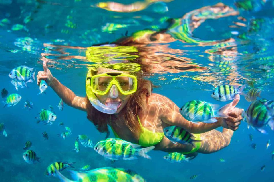 Waikiki: 5-In-1 Turtle Snorkeling Trip With Transfer - Age and Accessibility Restrictions