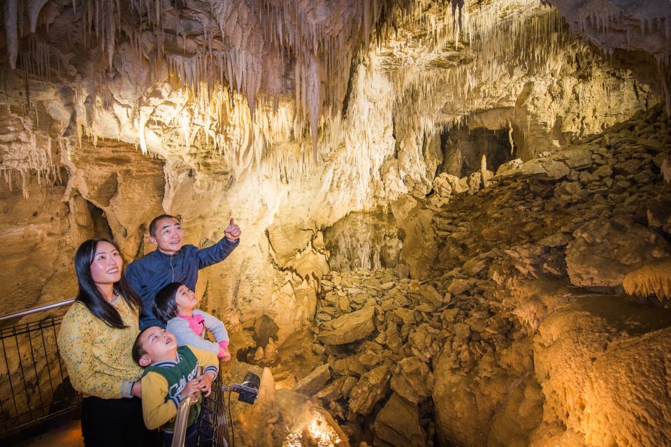 Waitomo: Ruakuri Cave 1.5 Hour Guided Tour - Traveler Types