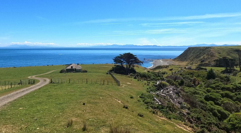 Wellington: Half Day Seal Coast Safari - What to Bring