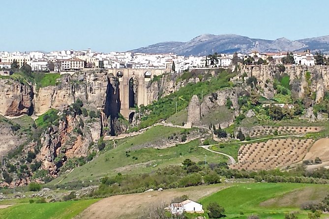 White Villages and Ronda Guided Day Tour From Seville - Tour Considerations and Reviews