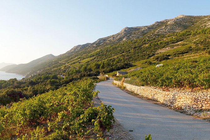 Wine Lovers Tour of Peljesac Peninsula - Visiting Rural Wineries