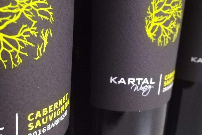 Wine Tasting Tour in Family Winery Kartal in Skopje - Reviews and Ratings