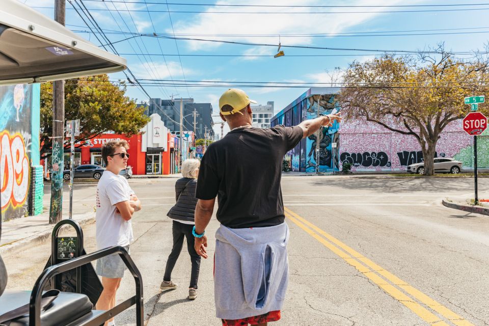 Wynwood Art District 1-Hour Street Art Tour by Golf Cart - Group Size and Inclusions