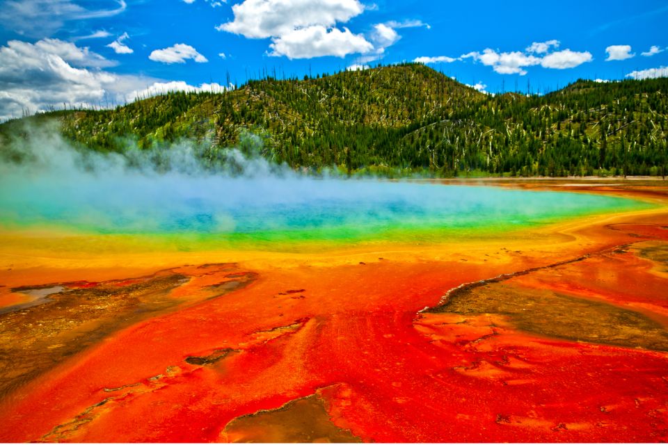 Yellowstone National Park: Self-Driving Audio Guided Tour - Experiencing the Mammoth Hot Springs