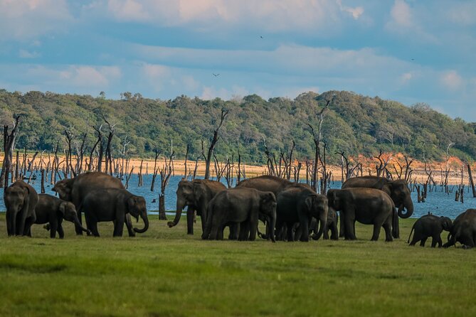 15-DAY Tour in Sri Lanka With Private Driver - Memorable Moments