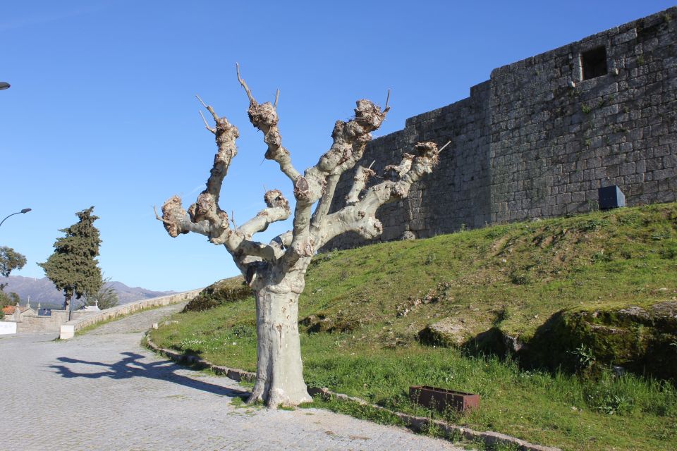 2 Days Tour to Heart of Serra Da Estrela From Lisbon - Visit to Surrounding Towns